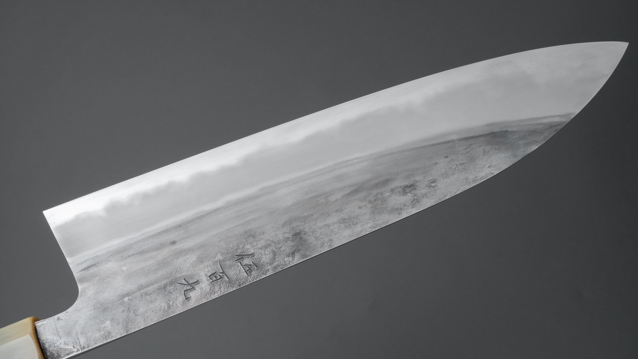 Premium Jiro Tsuchime Wa Gyuto 240mm Japanese Chef Knife with Taihei Tagayasan Handle - Perfect for Sushi, Sashimi & Precision Cutting (#509)