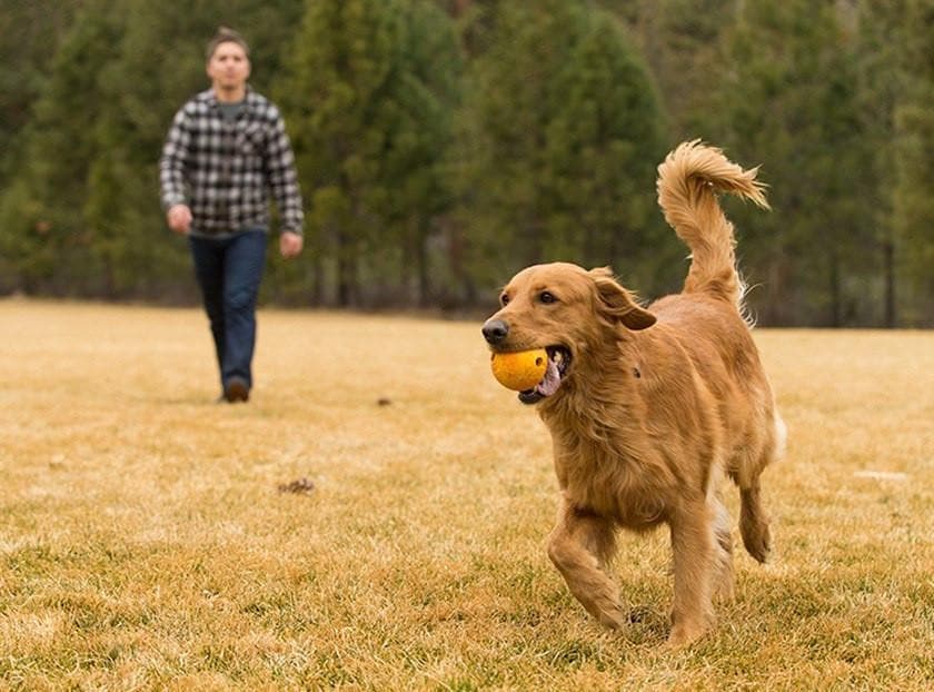Ruffwear® Huckama Dog Toy Ball - Durable Fetch Ball for Dogs, Blue - Perfect for Outdoor Play, Training & Interactive Fun