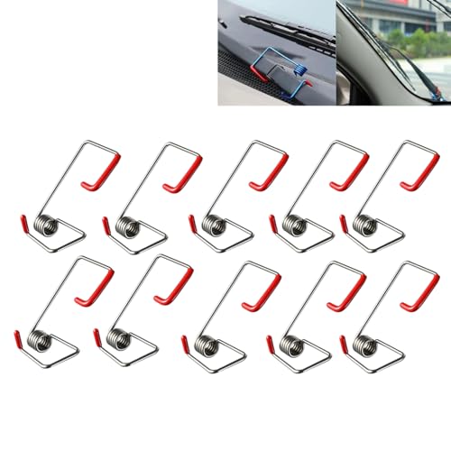 10pcs