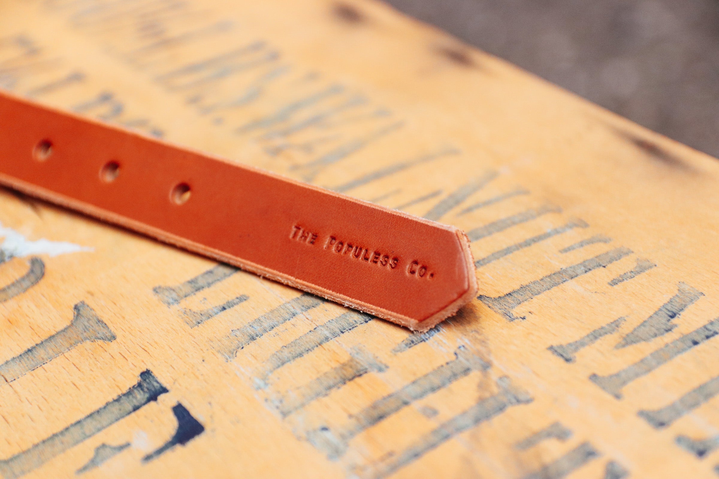 Lenny Rio Latigo - Premium Leather Dog Collar for Medium & Large Breeds | Durable & Stylish for Training, Walks & Outdoor Adventures