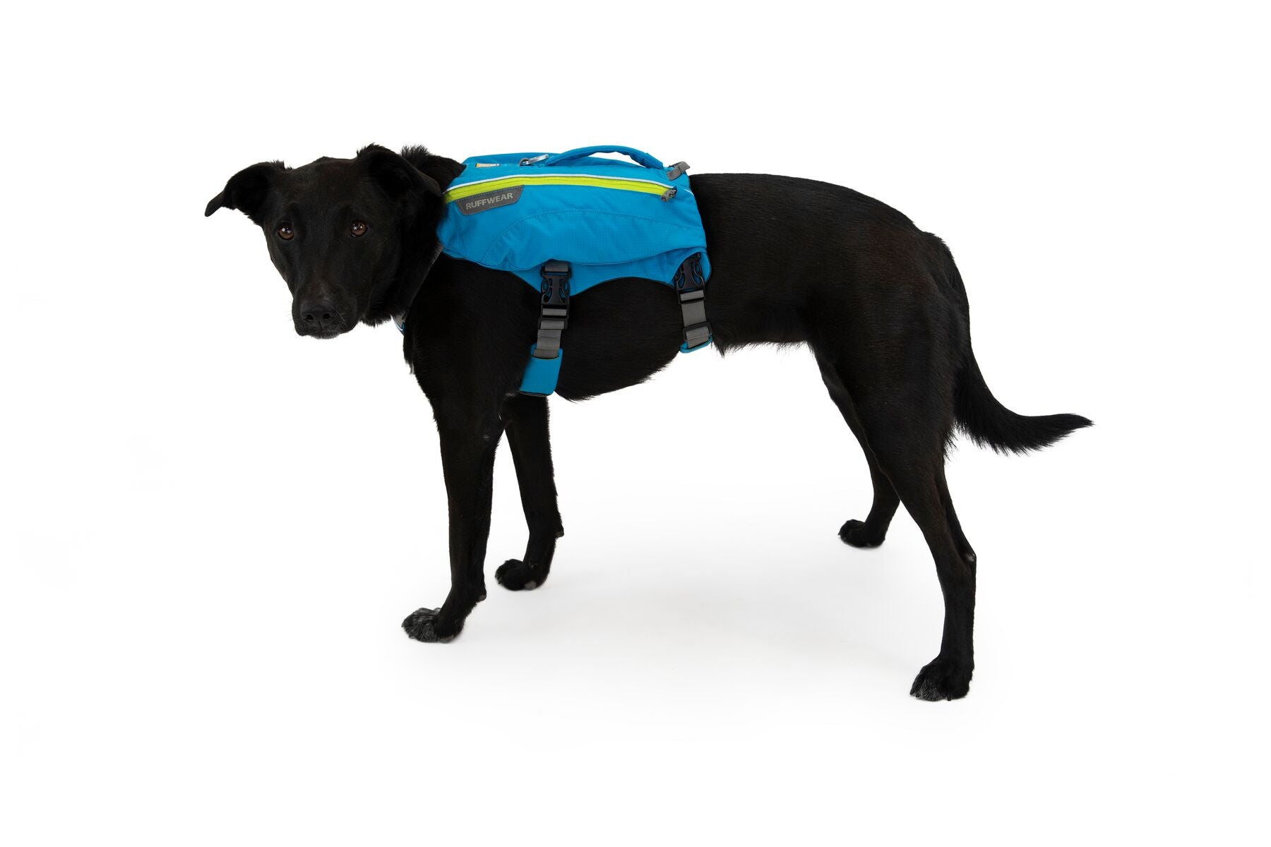Ruffwear Singletrak Pack® Dog Hydration Saddlebag - Blue | Hands-Free Water Bottle Holder for Hiking, Running & Outdoor Adventures
