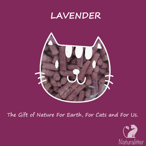 Natural & Eco-Friendly Plant-Based Cat Litter - Lavender Scented | Biodegradable, Low Dust, Clumping | Perfect for Odor Control & Multi-Cat Households