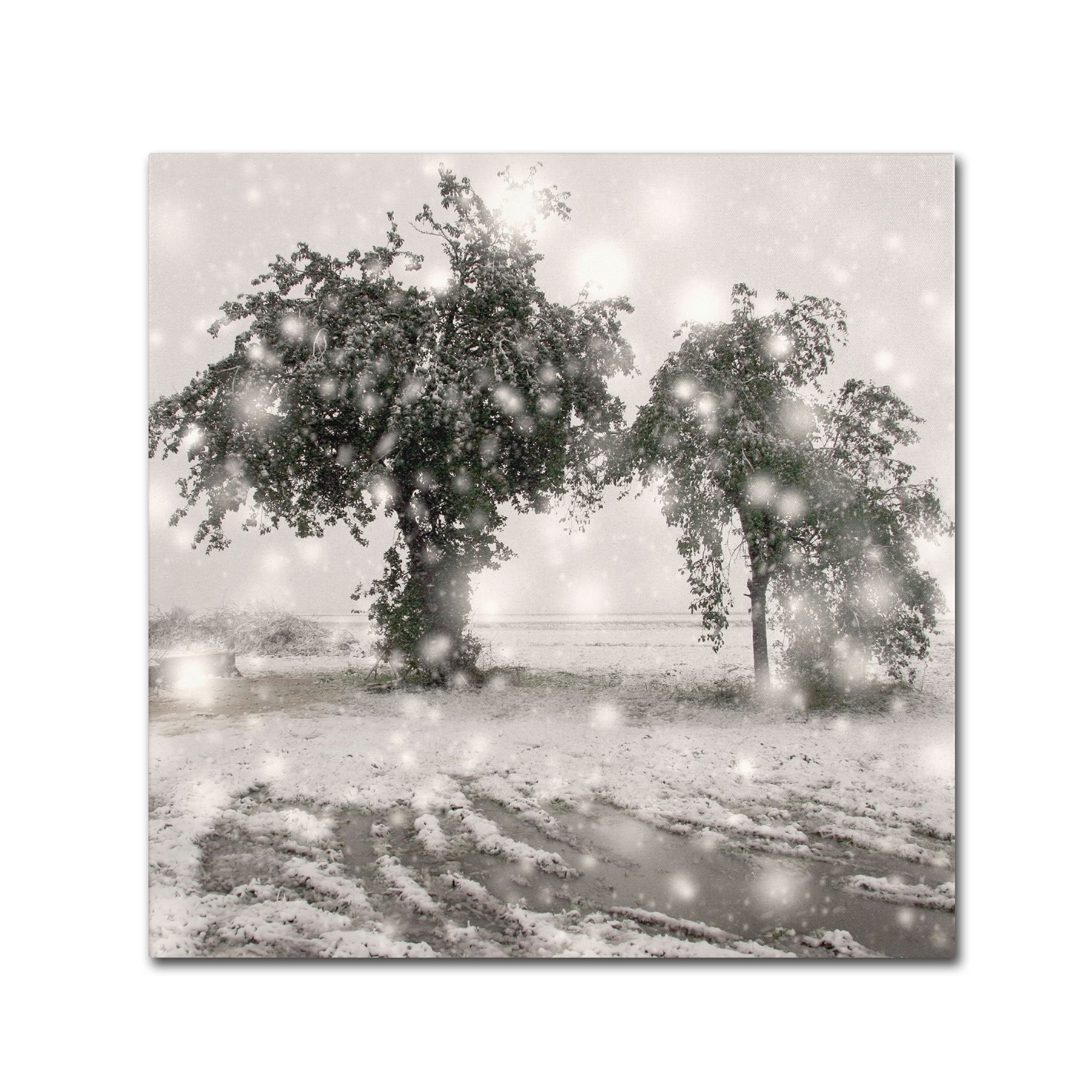 Winter Romance Art by Beata Czyzowska - 35x35 Inch Canvas Wall Art Painting - Perfect for Living Room, Bedroom & Office Decor