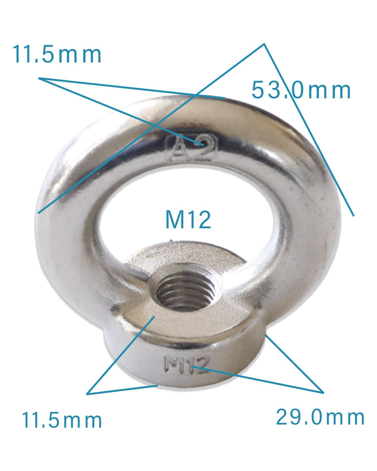 M12 Eye Nuts 304 Stainless Steel - Heavy Duty Hardware for Home Repair & Professional Projects - Pack of 2 - Perfect for Lifting, Rigging & Construction Applications