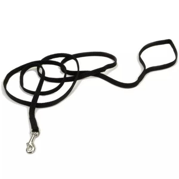Coastal Sunburst Dog Leash - Durable Reflective Pet Walking Lead with Comfortable Padded Handle for Small Medium Large Dogs - Perfect for Beach Walks, Park Adventures & Nighttime Safety
