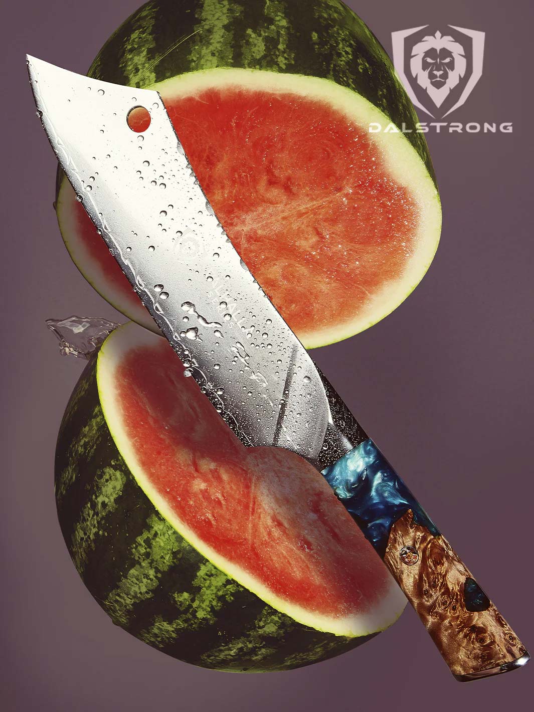 Dalstrong Valhalla Series Crixus 8