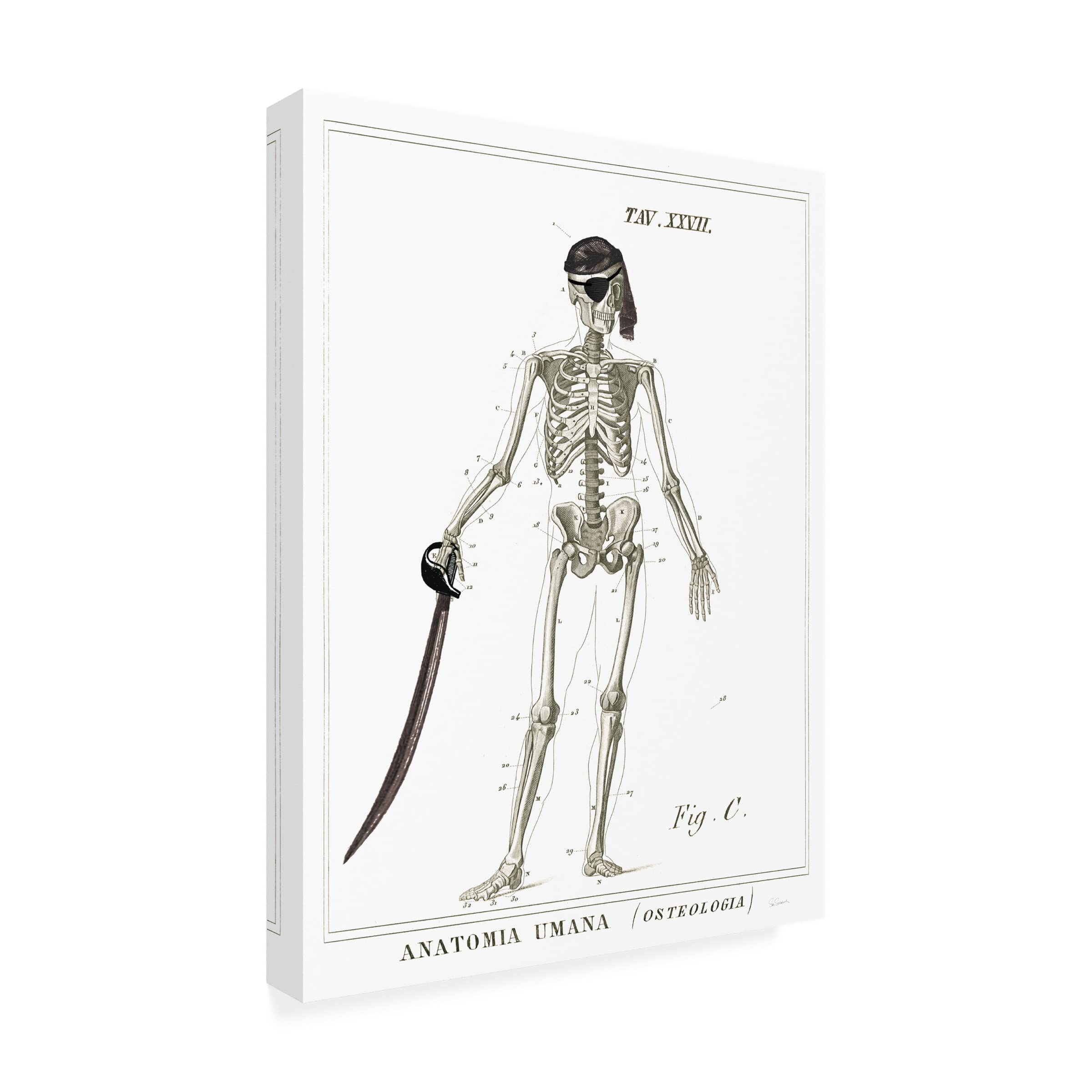 Trademark Fine Art 'Dandy Bones Pirate' Canvas Wall Art by Sue Schlabach - 35x47 Inches - Perfect for Living Room, Bedroom or Office Decor