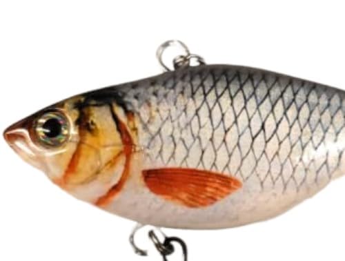 Best Bass Fishing Lures - High Performance Crankbaits for Bass, Freshwater & Saltwater Fishing - Durable Crank Bait Lures for Professional Anglers - Perfect for Lake, River and Ocean Fishing Adventures