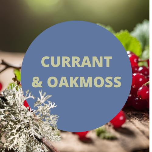 Payden's Cobalt Currant & Oakmoss Scented Body Lotion and Body Spray Gift Set for Men, 8 Oz - Moisturizing & Fragrance Duo for Daily Use, Gym, Work, and Special Occasions