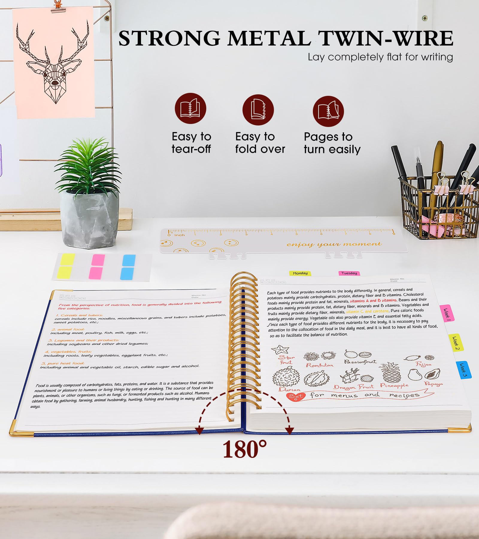 Premium Spiral Notebook Journal 8.5