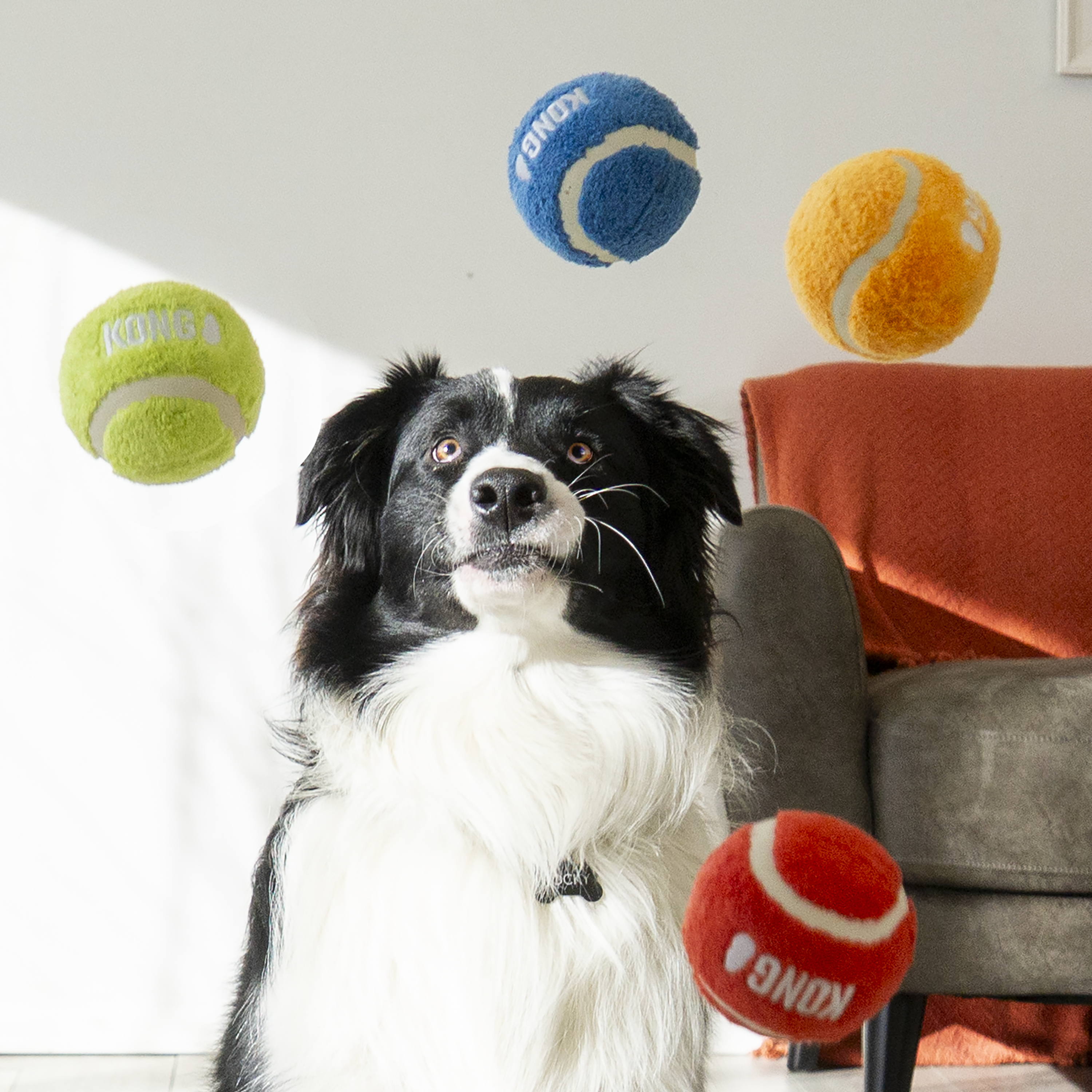 Kong Sport Softies Tennis Balls with Plush - Durable Chew Toys for Dogs, Perfect for Fetch, Training, and Playtime Indoors & Outdoors