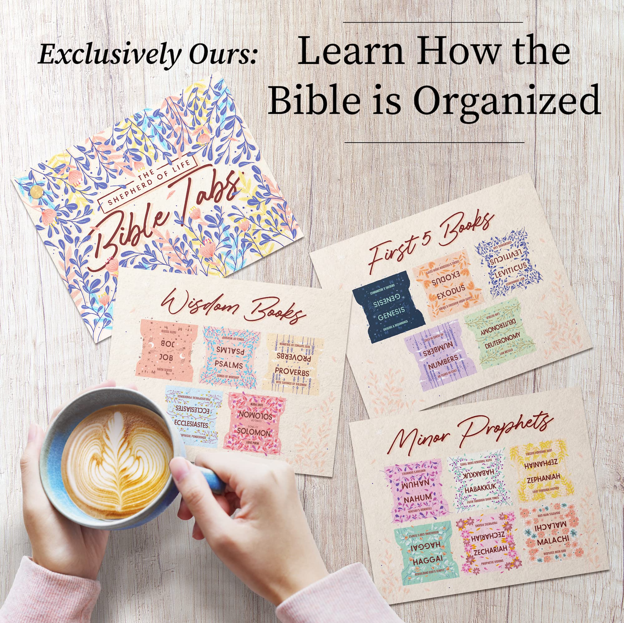 Bloom Beauty Bible Tabs for Women - 66 Large Print Laminated Peel-and-Stick Bible Study Tabs | Gold Journaling Accessories, Perfect Gift for Christian Women, Bible Study Supplies | Ideal for Personal Devotion, Small Groups & Church Bible Studies