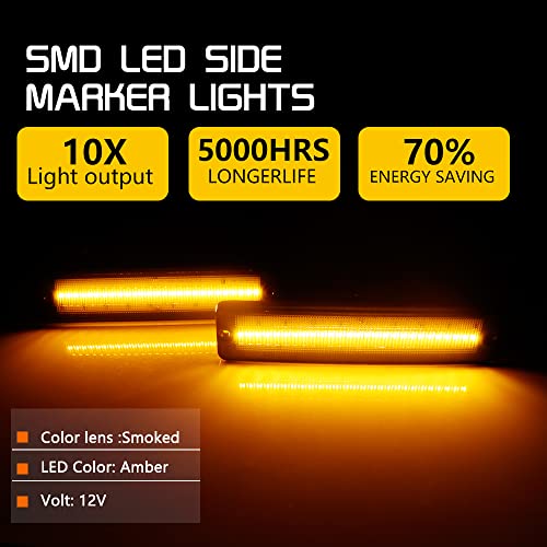 Smoked Lens Amber LED