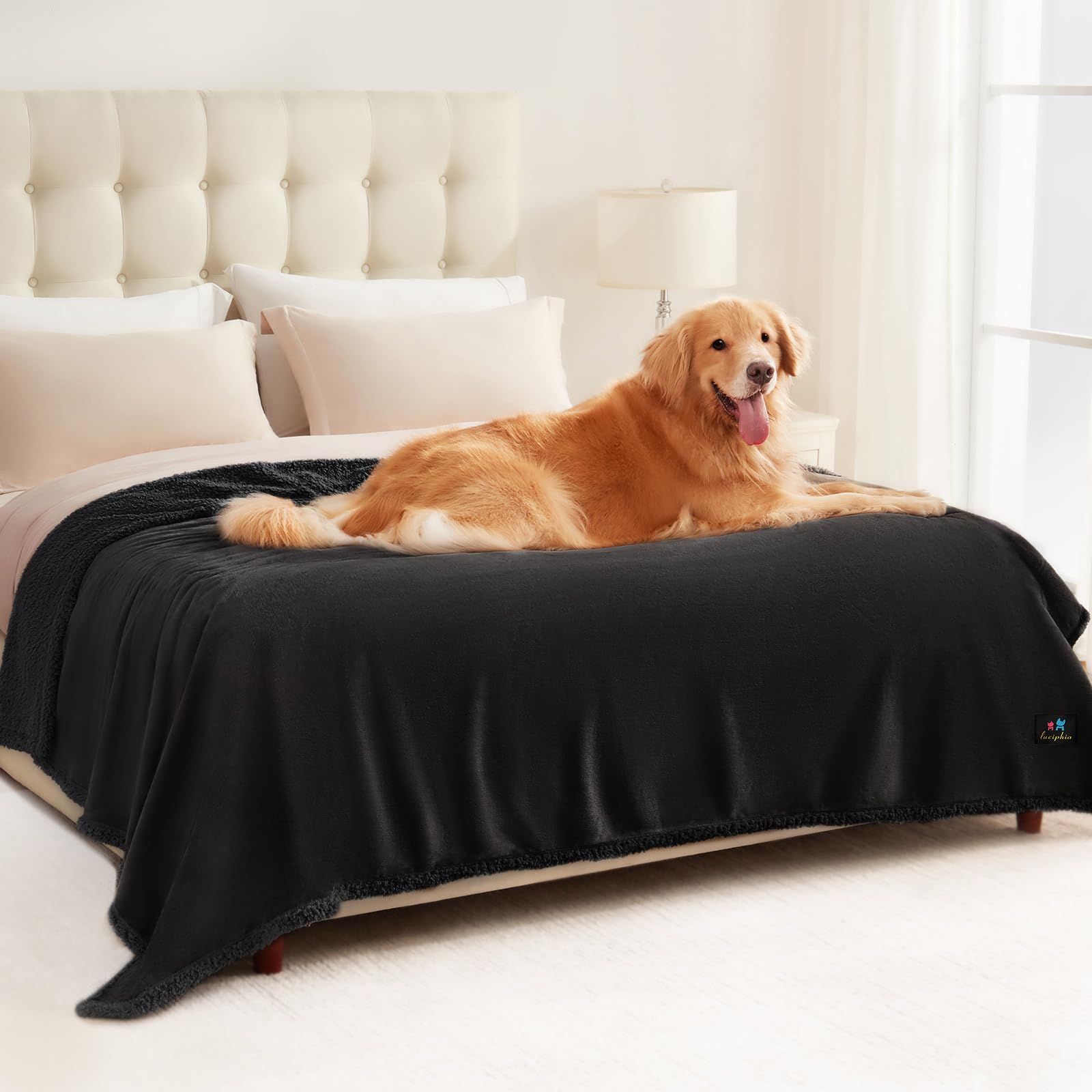 **Luciphia Waterproof Dog Blanket - 85