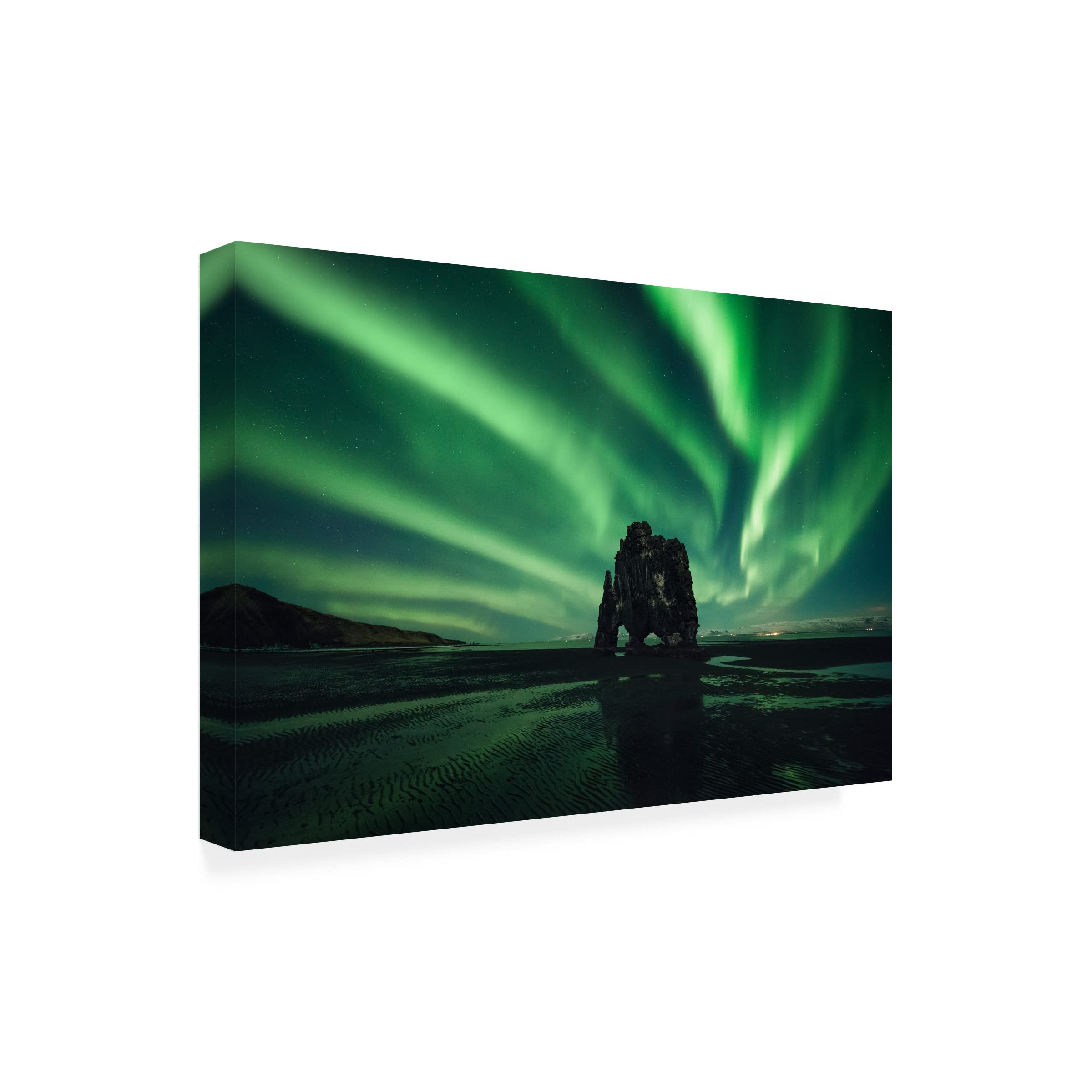 David Martin Castan 'Rhino' Canvas Art Print - Wildlife Animal Wall Decor for Living Room, Bedroom & Office - Trademark Fine Art Collection