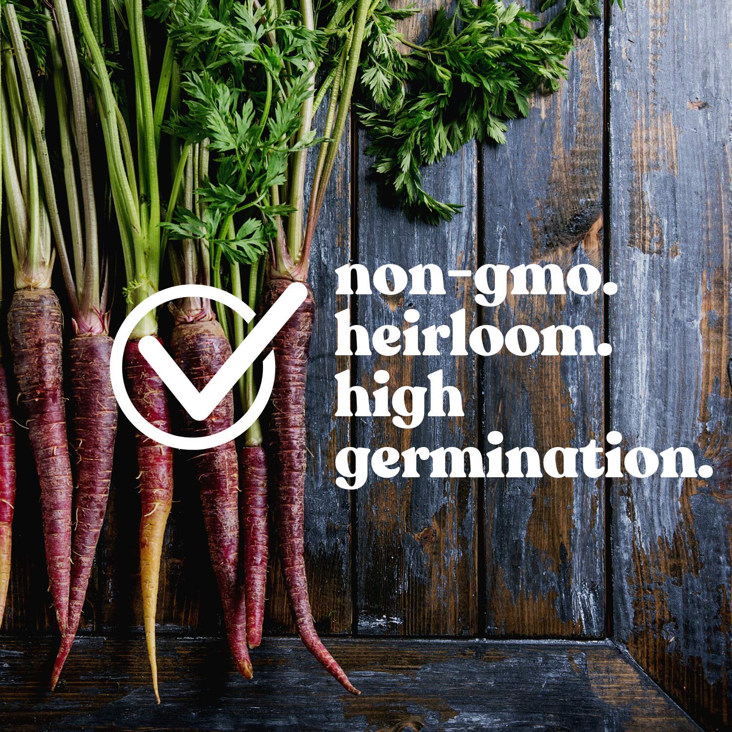 Purple Carrot Garden Seeds - 1g Pack ~600 Seeds - Heirloom Non-GMO Vegetable Seeds for Home Gardening, Microgreens & Organic Farming - Perfect for Raised Beds, Containers & Indoor Hydroponic Systems