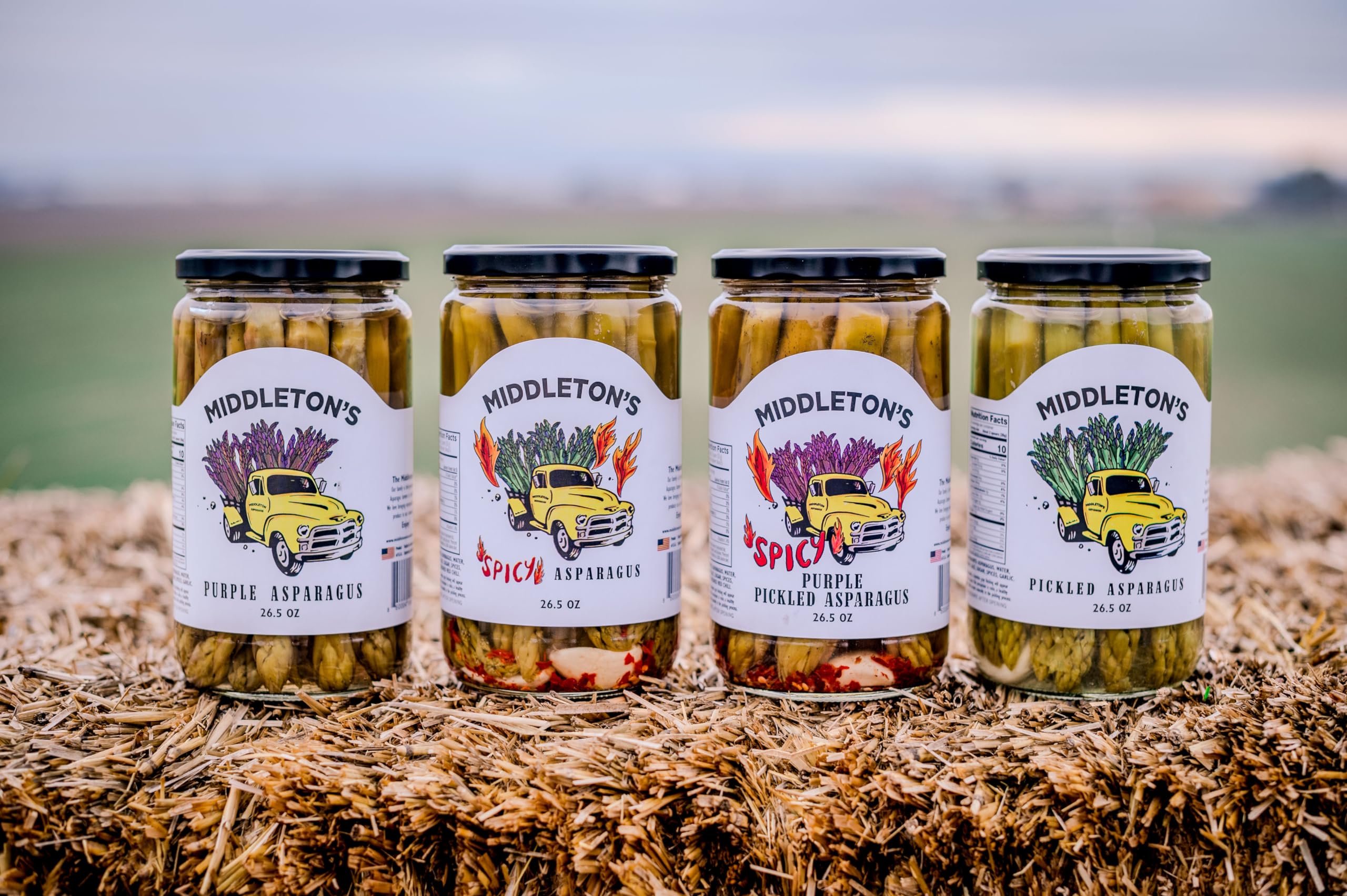 Middleton Farms Pickled Asparagus Variety Pack - 3 Jars of Farm-Fresh Purple, Green & Spicy Pickled Asparagus | USA Made, Farm to Table | 26.5oz Each | Perfect for Charcuterie Boards, Gifts & Gourmet Cooking