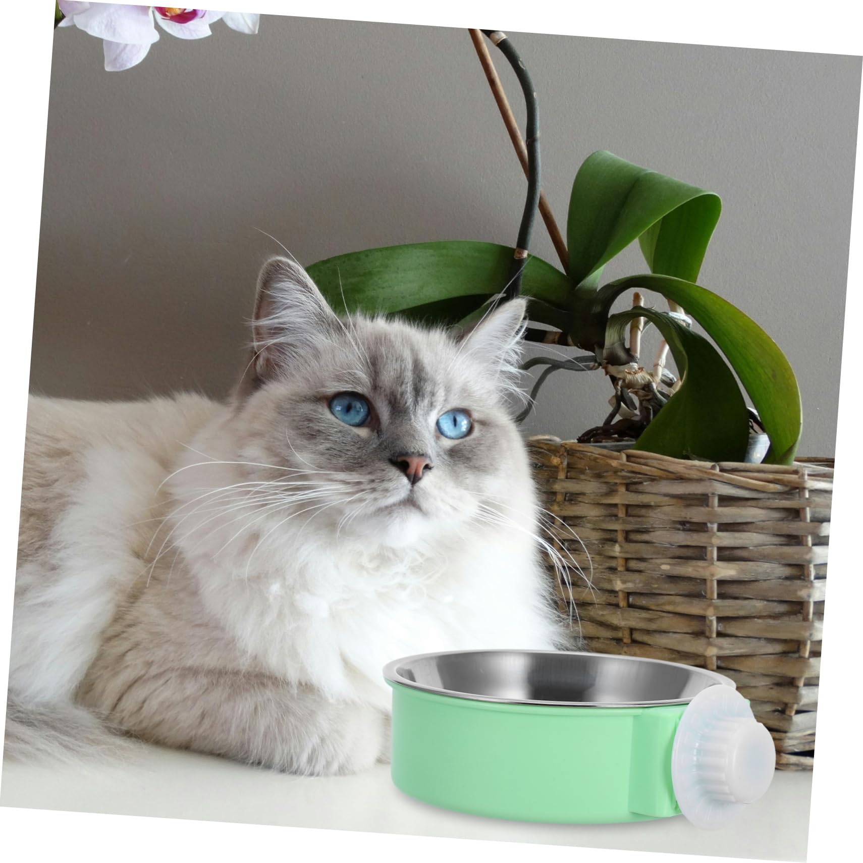 TEHAUX Adjustable Hanging Pet Bowl - Detachable Food & Water Feeder for Dogs, Cats, Birds, Guinea Pigs - Perfect for Cages, Travel & Outdoor Use