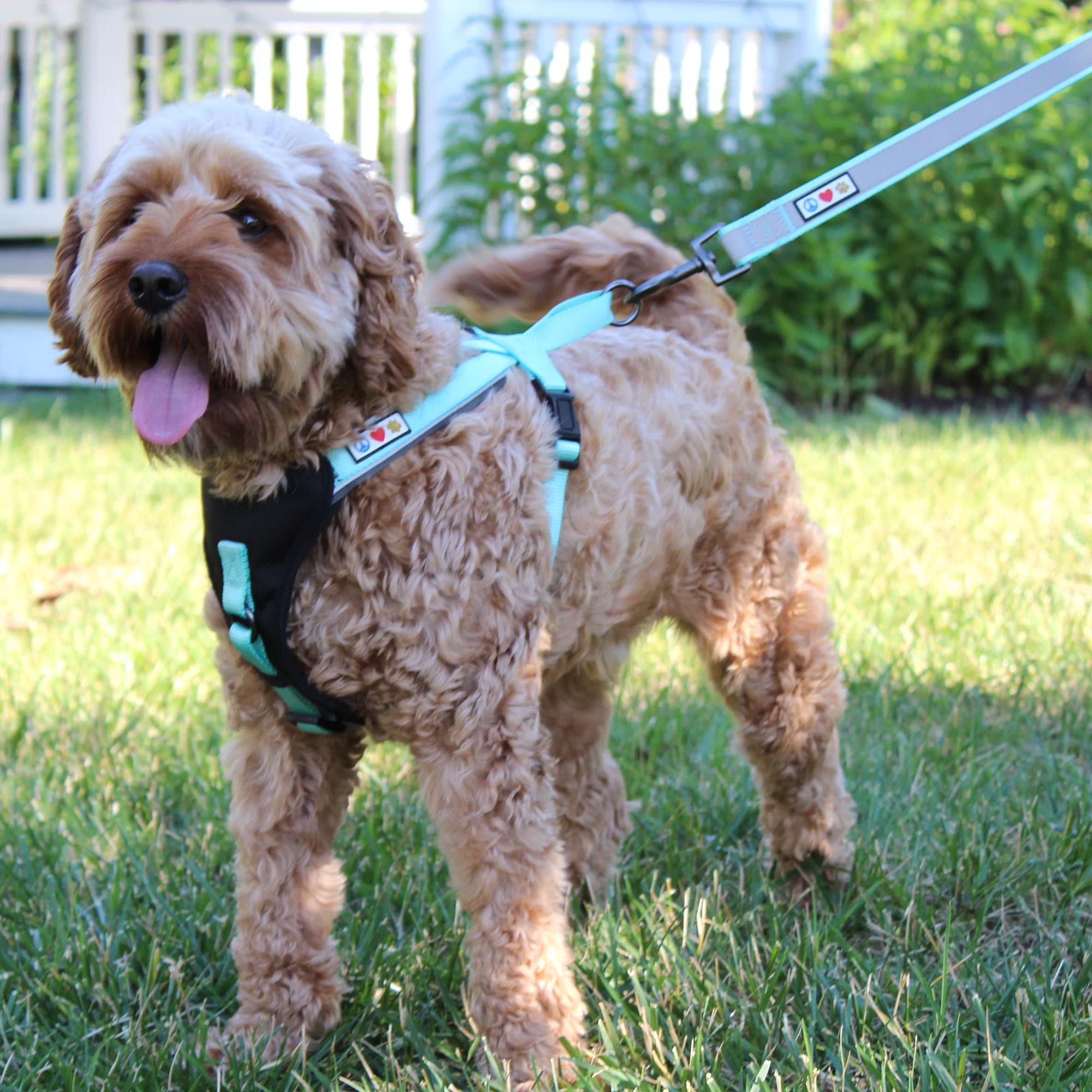 Pawtitas Reflective Padded Dog Harness - Comfortable & Adjustable for Walking, Running & Outdoor Adventures - Medium Size Red Pet Vest for Safety & Control - Perfect for Night Walks, Jogging & Training