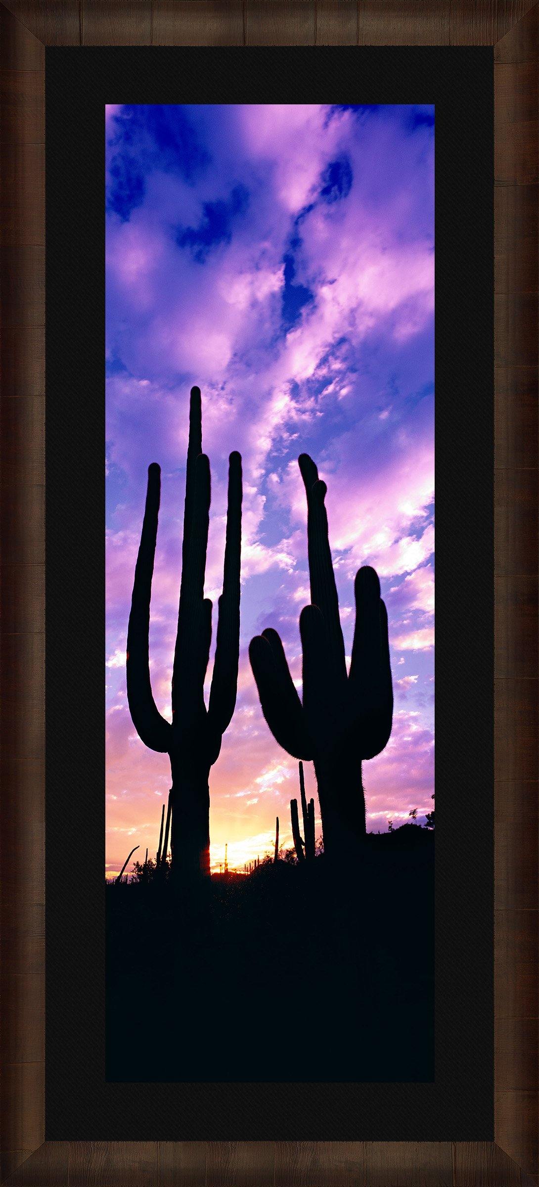 Saguaro Cactus Decor - Authentic Southwestern Home & Garden Accent for Desert-Themed Living Rooms, Patios, and Office Spaces