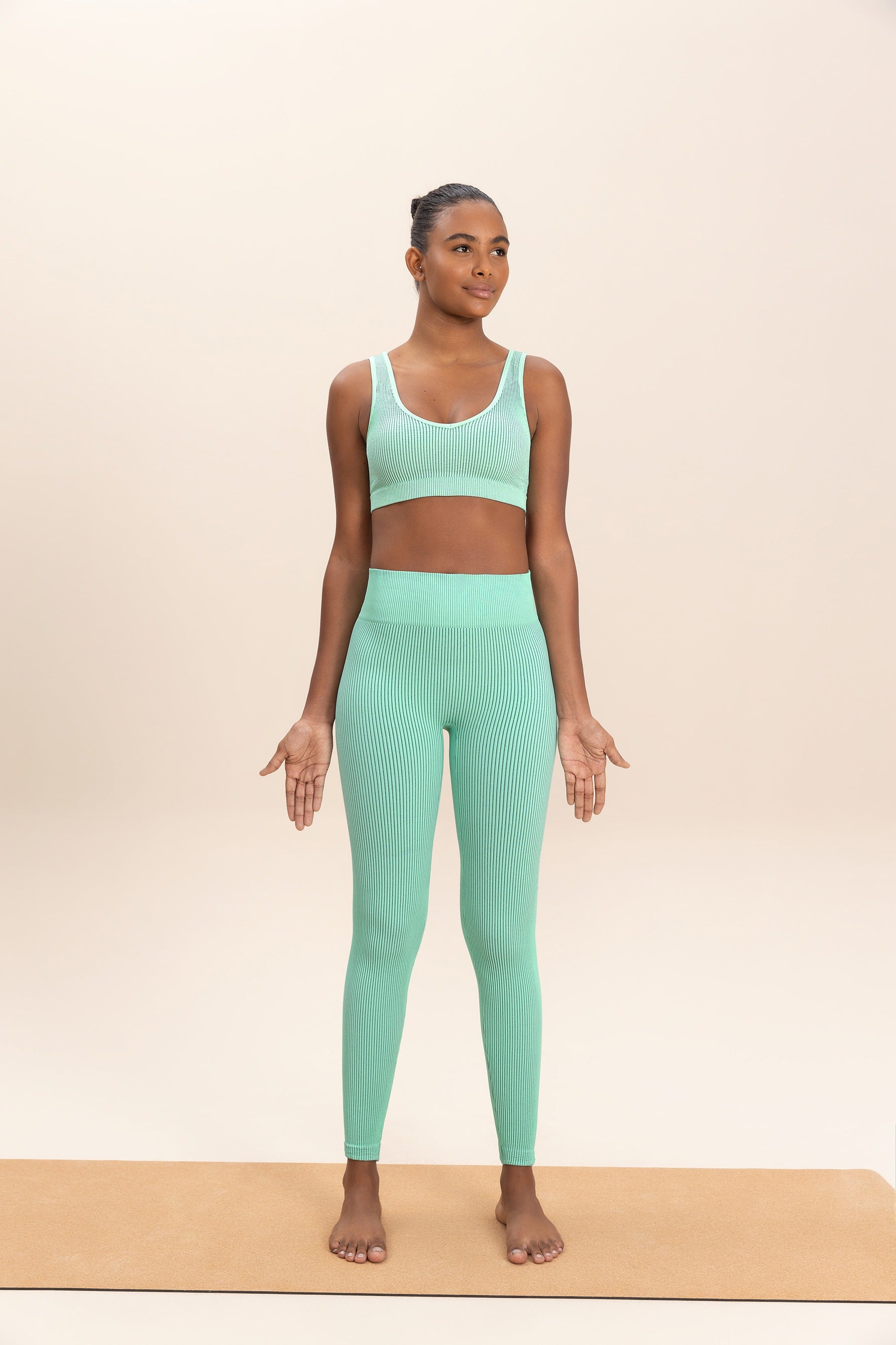 Premium Rib Classic Seamless Leggings for Women - High Waist Yoga Pants with Comfortable Stretchy Fabric - Perfect for Workout, Running, Gym & Everyday Wear