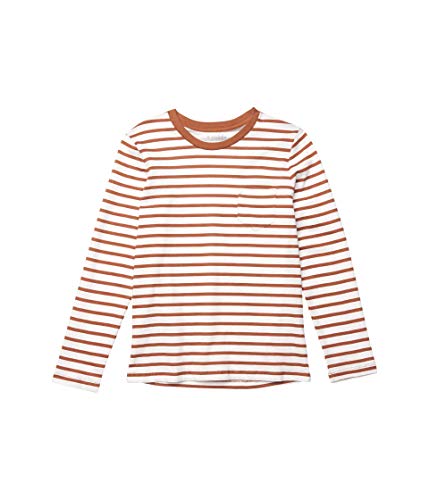 Tort Shell/Cream