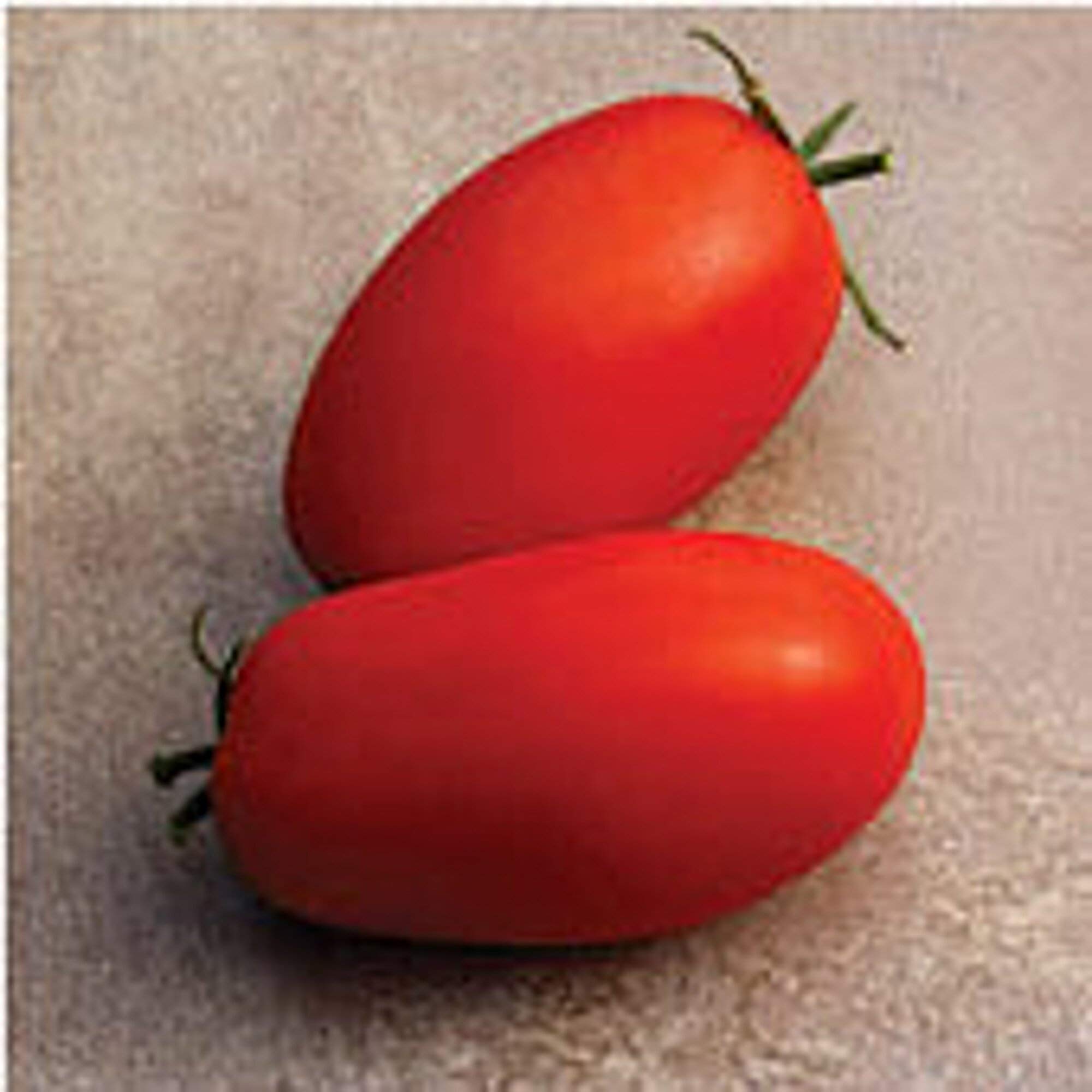 Premium Non-GMO Supremo Tomato Seeds (20+ Seeds) - Heirloom Vegetable & Fruit Seeds for Planting | Home Garden, Greenhouse, or Container Gardening | Perfect for Fresh Salads, Sauces & Canning