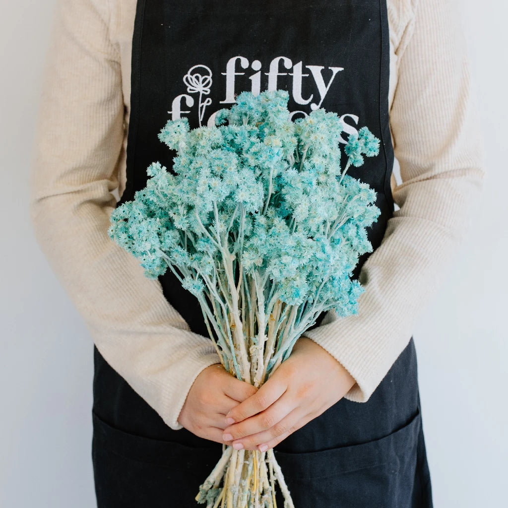 Premium Baby Blue Dried Andean Asters - Natural Floral Decor for Weddings, Home Decor & DIY Crafts | Eco-Friendly Dried Flowers for Bouquets, Centerpieces & Gift Wrapping