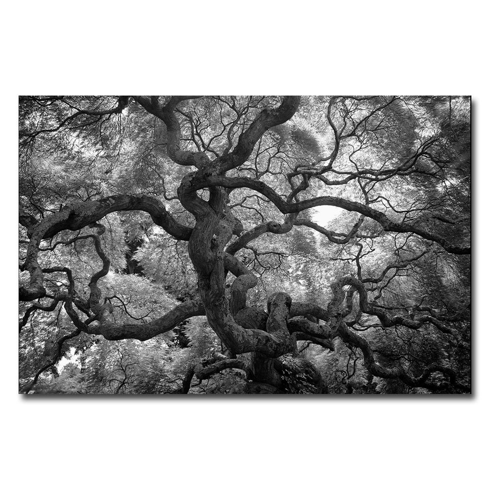 Trademark Art CATeyes Motivations Canvas Wall Art - 16x24 Inches - Inspirational Home Decor for Living Room, Bedroom & Office