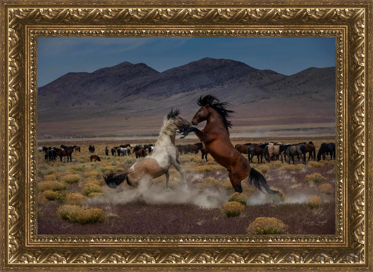 Desert Duel 5 by Greg Sargent - Western Action Novel - Perfect for Book Clubs & Cowboy Adventure Fans