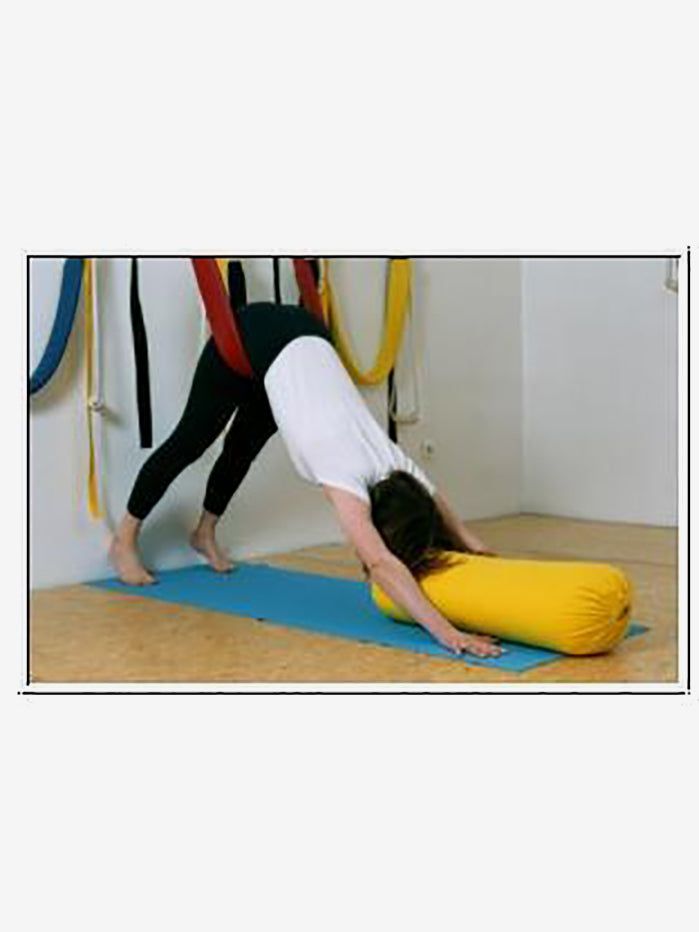 JivanaProps Pelvic Swing with Wall Kit - Yoga & Physical Therapy Exercise Equipment for Core Strength & Flexibility - Perfect for Home Gym, Rehabilitation & Fitness Training
