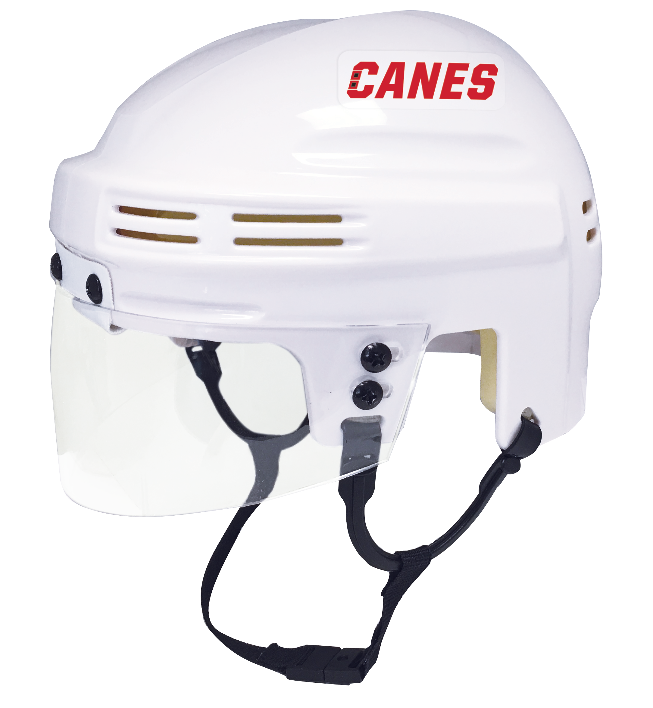 Carolina Hurricanes NHL Collectible Mini Helmet with Display Stand - Officially Licensed Hockey Memorabilia for Fans & Collectors - Perfect for Home Decor, Man Cave, or Sports Gift