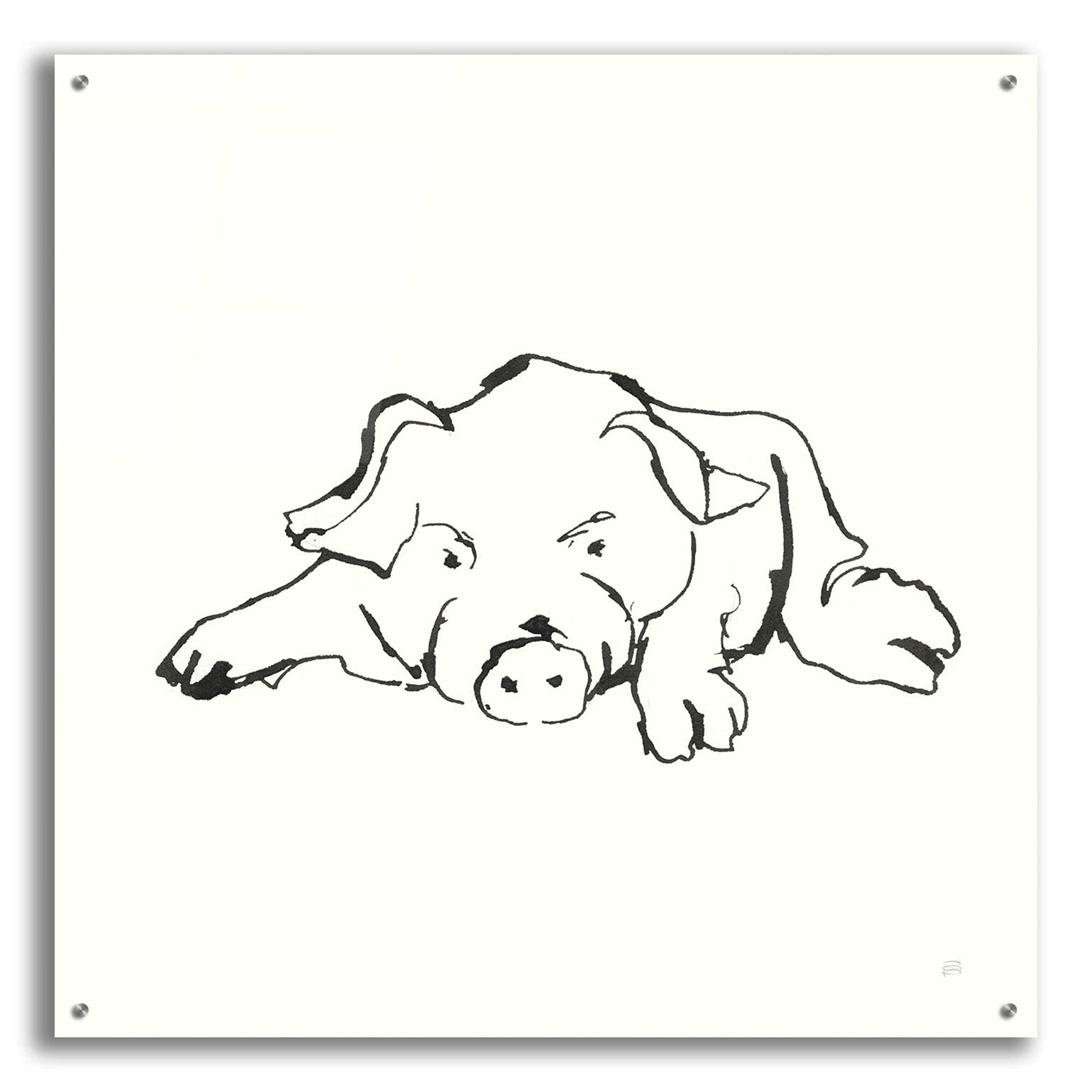 Chris Paschke 'Line Pig I' Acrylic Glass Wall Art - 36x36 Inch Modern Abstract Painting for Living Room, Bedroom & Office Decor