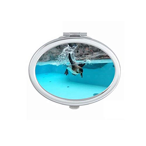 DIYthinker Portable Foldable Double-Sided Makeup Mirror with Antarctic Penguin Ocean Nature Design - Perfect for Travel, Home Vanity & Gift Giving
