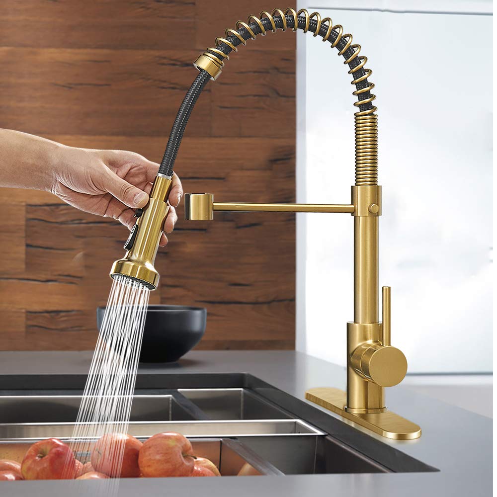 Hoimpro Brushed Gold Kitchen Faucet with Pull Down Sprayer - for Home & RV Use