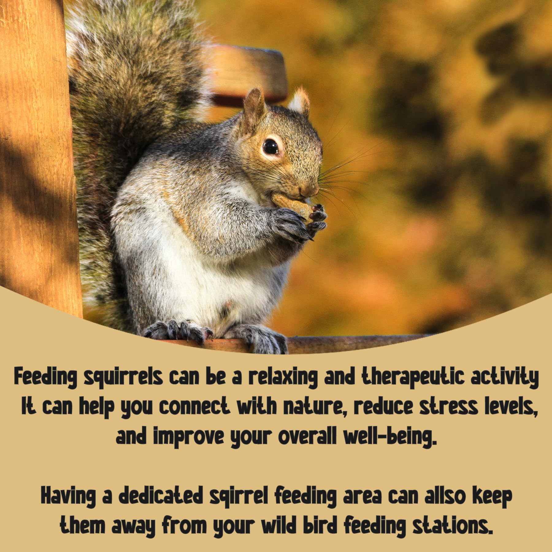 Premium Aflatoxin-Free Peanuts in Shells for Squirrels (1kg) - All Natural Wildlife Food for Chipmunks, Cardinals & Jays - Eco-Friendly Compostable Packaging - Perfect for Backyard Bird Feeding & Wildlife Attraction