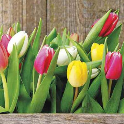 Vibrant Colorful Tulips Floral Paper Lunch Napkins - 20 Pack | Perfect for Spring Parties, Picnics & Wedding Decorations