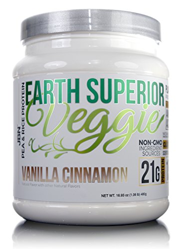 JBN Earth Superior Plant Protein Powder - 21g Pea & Rice Protein Blend, Low Calorie, Naturally Sweetened, Easy to Mix (Vanilla Cinnamon, 12 Servings) | Vegan Protein Supplement for Post-Workout Recovery, Smoothies & Healthy Baking
