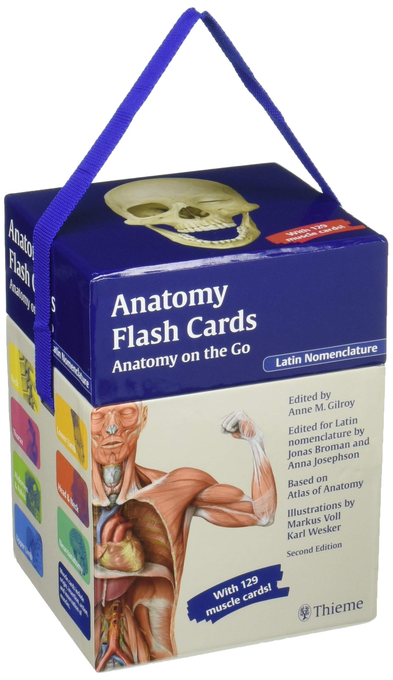 Anatomy Flash Cards: Latin Nomenclature Study Guide for Medical Students - Perfect for On-the-Go Learning & Exam Prep