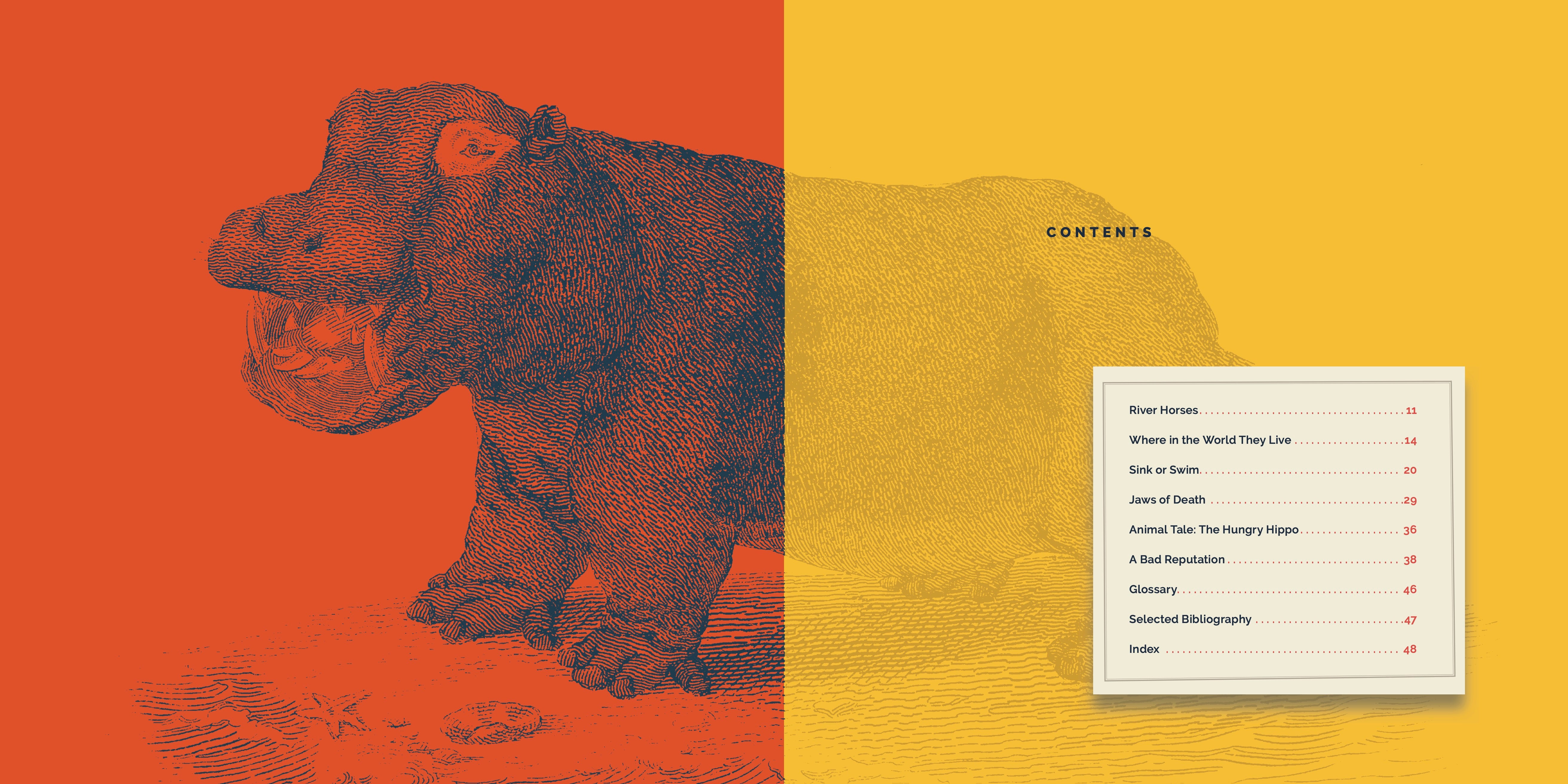 Hippopotamuses Book - 9781640267862 | Wildlife Animal Encyclopedia for Kids & Adults - Perfect for School Projects, Nature Lovers & Home Library