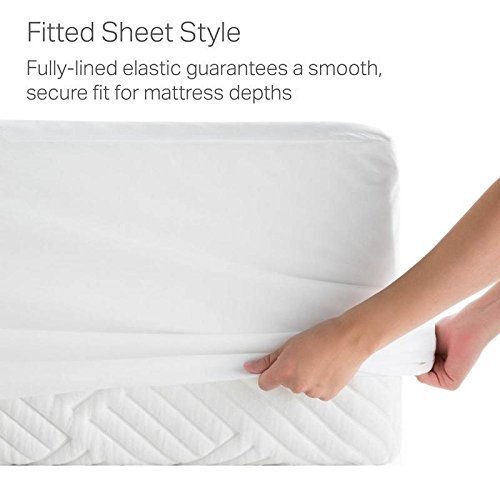 Luxurious 1800 Thread Count Egyptian Cotton Queen Sheet Set - 6 Piece (1 Fitted, 1 Flat, 4 Pillowcases) for 10-12