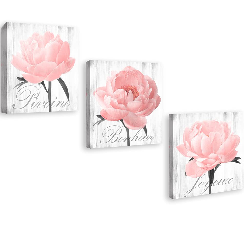 Framed Peony Wall Art - Pink Grey Flower Canvas Prints for Bedroom & Living Room Decor (16x16in x3) - Farmhouse Style Home Decoration