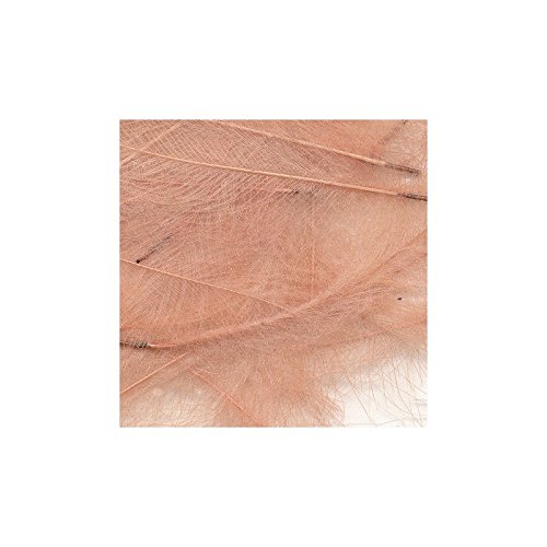 Premium Petitjean CDC Feathers - 1 Gram Bags for Fly Tying | Dry Fly & Nymph Fishing Accessories | Perfect for Trout & Salmon Fly Patterns
