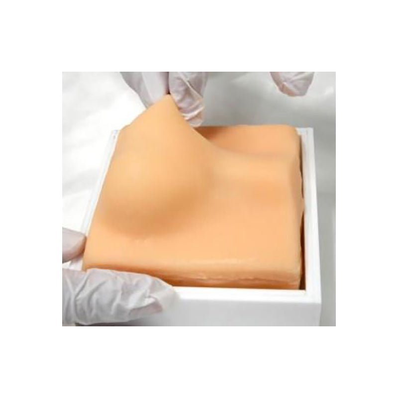 Dog Neutering Training Model - Veterinary Practice Tool for Canine Spay/Neuter Surgery Simulation | Ideal for Vet Students & Professionals