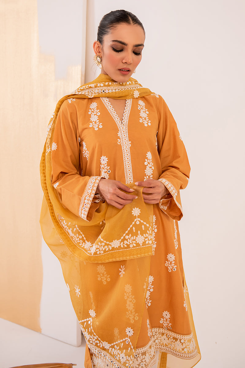 HAZEL WOOD 2-Piece Set (Shirt & Dupatta) - Stylish Ethnic Outfit for Women | Perfect for Festivals, Weddings & Special Occasions