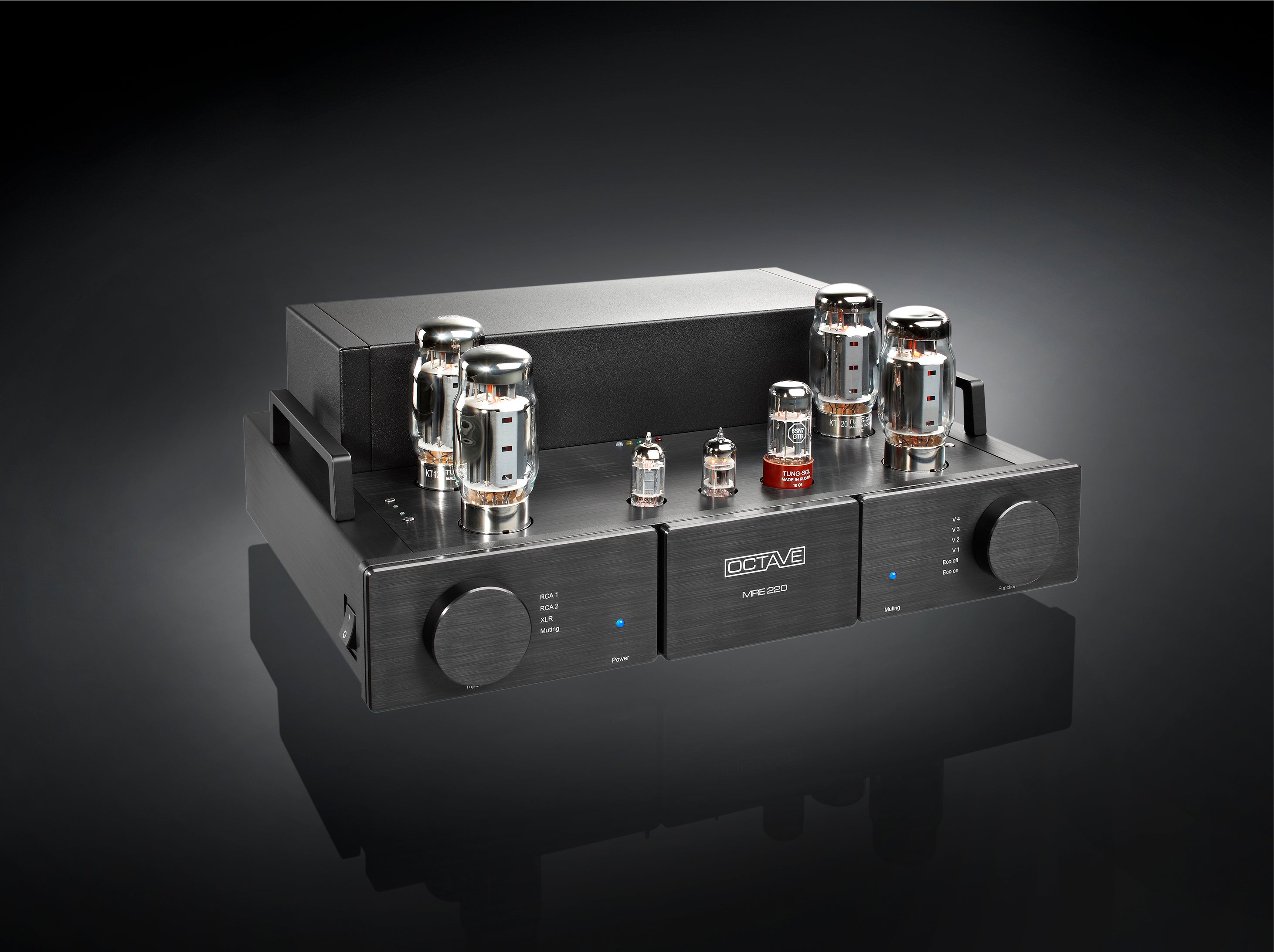 Octave MRE 220 Mono Power Amplifier (Pair) - High-End Audio Amplifier for Home Theater & Stereo Systems - Perfect for Audiophiles & Music Enthusiasts