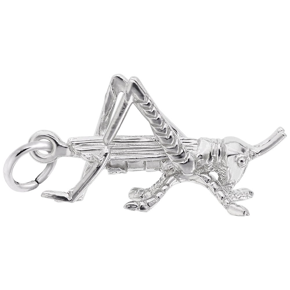 Authentic Cricket Charm for Jewelry - Handmade Bracelet & Necklace Pendants - Perfect for Nature Lovers & Outdoor Enthusiasts
