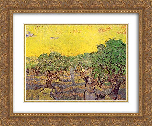 Vincent van Gogh Olive Grove With Picking Figures Art Print - 24x20 Inch Gold Ornate Framed Museum Quality Double Matted Wall Decor for Living Room, Bedroom & Office