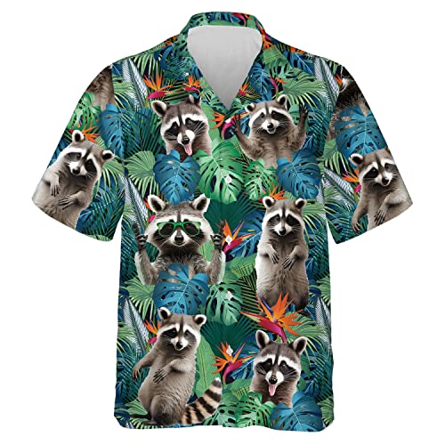 Raccoon-23