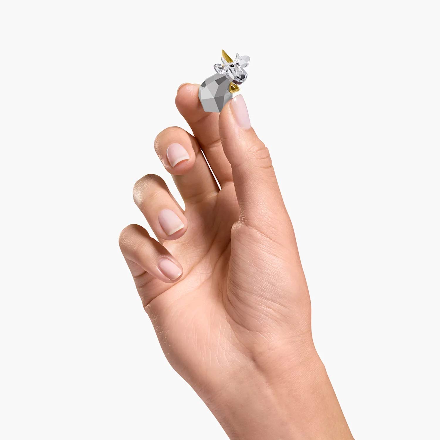 Swarovski Limited Edition 2020 Birthday Princess Mo Mini Figurine - Crystal Collectible Gift for Women, Girls | Birthday, Anniversary, Christmas Present | Home Decor, Office Display, Gift for Princess Lovers